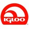 Igloo