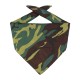 Big Accessories - Solid Bandana