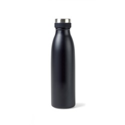 Aviana™ Palmer Double Wall Stainless Bottle - 17 Oz.