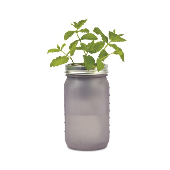 Modern Sprout® Indoor Herb Garden Kit