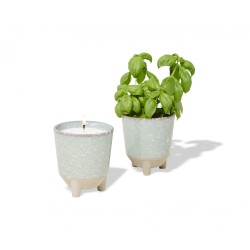 Modern Sprout® Glow & Grow Live Well Gift Set