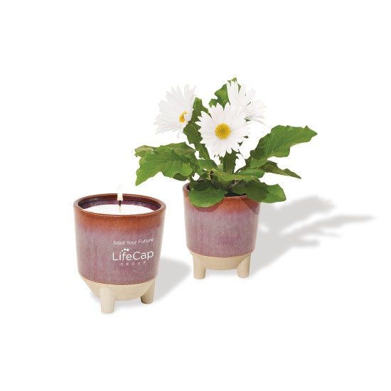 Modern Sprout® Glow & Grow Live Well Gift Set Modern Sprout® Glow & Grow Live Well Gift Set