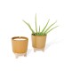 Modern Sprout® Glow & Grow Live Well Gift Set Modern Sprout® Glow & Grow Live Well Gift Set