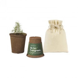 Modern Sprout® One For One Tree Kits