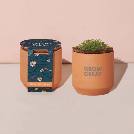 Modern Sprout® Tiny Terracotta Grow Kit Thank You Daisies Modern Sprout® Tiny Terracotta Grow Kit Thank You Daisies