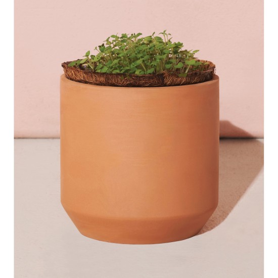 Modern Sprout® Tiny Terracotta Grow Kit Thank You Daisies Modern Sprout® Tiny Terracotta Grow Kit Thank You Daisies