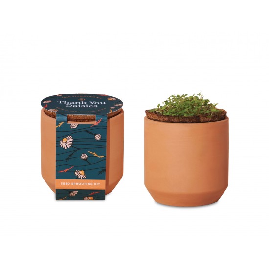 Modern Sprout® Tiny Terracotta Grow Kit Thank You Daisies