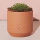 Modern Sprout® Tiny Terracotta Grow Kit Thank You Daisies Modern Sprout® Tiny Terracotta Grow Kit Thank You Daisies
