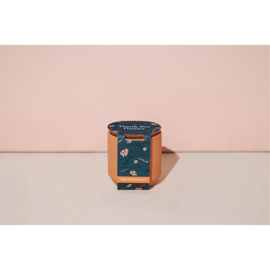 Modern Sprout® Tiny Terracotta Grow Kit Thank You Daisies Modern Sprout® Tiny Terracotta Grow Kit Thank You Daisies