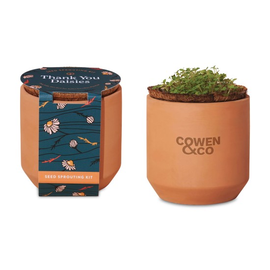 Modern Sprout® Tiny Terracotta Grow Kit Thank You Daisies Modern Sprout® Tiny Terracotta Grow Kit Thank You Daisies