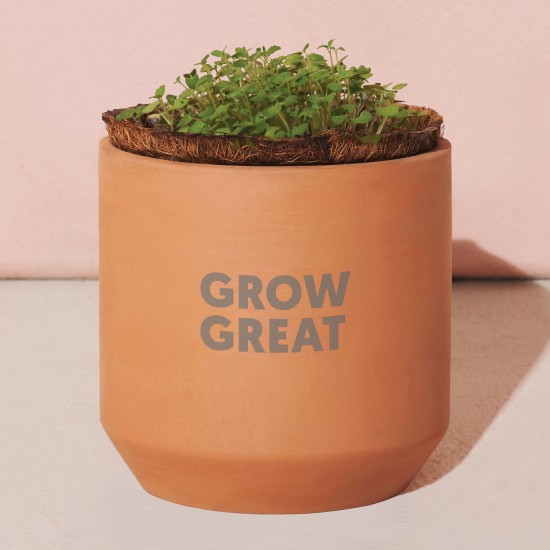 Modern Sprout® Tiny Terracotta Grow Kit Thank You Daisies Modern Sprout® Tiny Terracotta Grow Kit Thank You Daisies