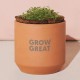 Modern Sprout® Tiny Terracotta Grow Kit Thank You Daisies