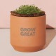 Modern Sprout® Tiny Terracotta Grow Kit Thank You Daisies Modern Sprout® Tiny Terracotta Grow Kit Thank You Daisies