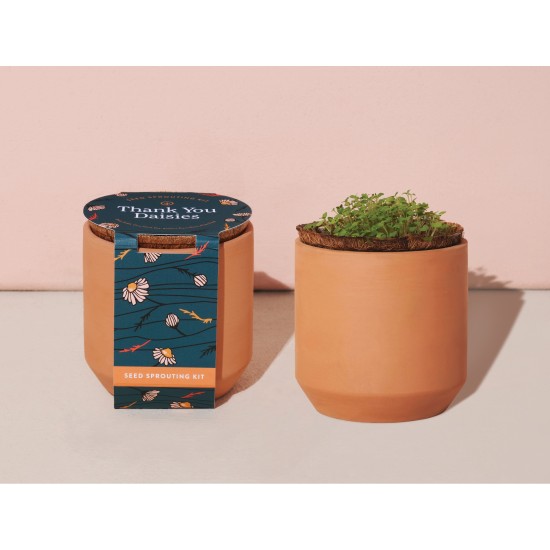 Modern Sprout® Tiny Terracotta Grow Kit Thank You Daisies