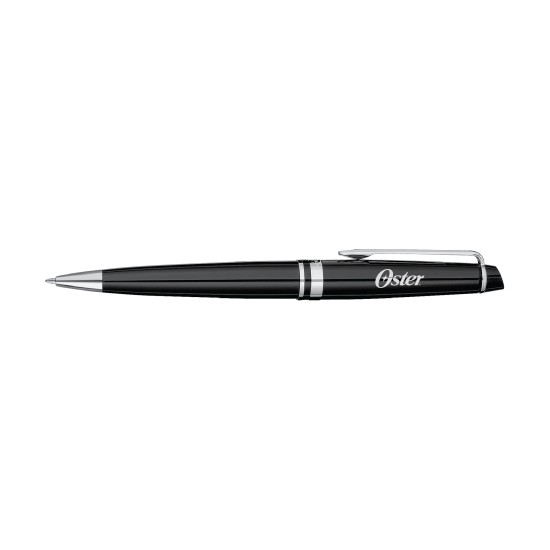 Waterman Expert Ballpoint