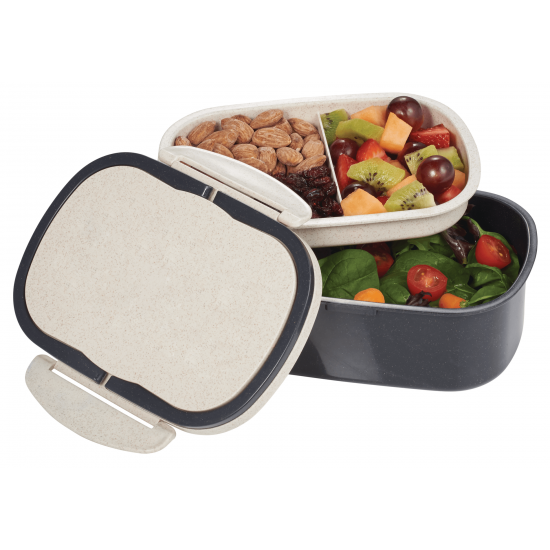 Plastic and Wheat Straw Lunch Box Container