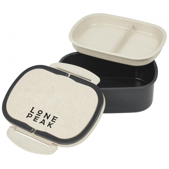 Plastic and Wheat Straw Lunch Box Container