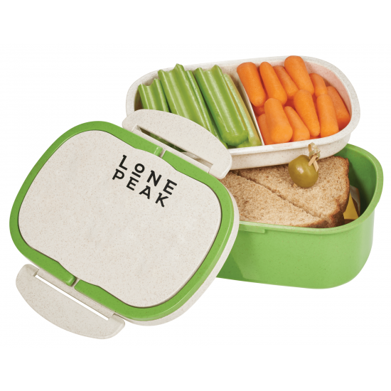 Plastic and Wheat Straw Lunch Box Container