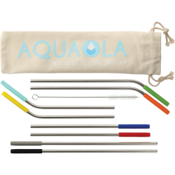 Reusable Stainless Straw 10 in 1 set