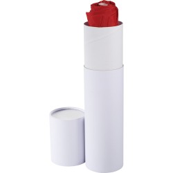 Umbrella Gift Box Cylinder- Small (12” H x 3" x 3"