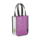 Small Laminated Non-Woven Shopper Tote