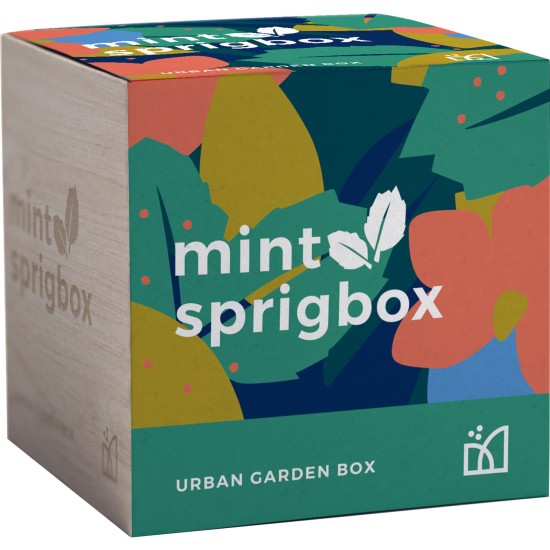 Sprigbox Mint Grow Kit