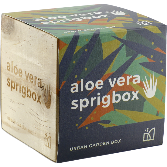 Sprigbox Aloe Vera Grow Kit