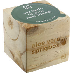 Sprigbox Aloe Vera Grow Kit