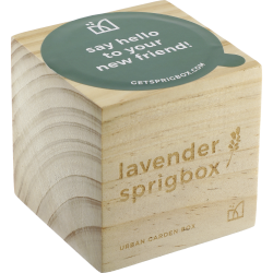 Sprigbox Lavender Grow Kit