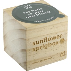 Sprigbox Sunflower Grow Kit