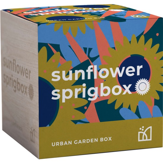 Sprigbox Sunflower Grow Kit