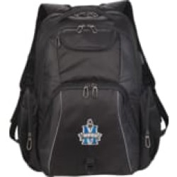 Rainier TSA 17" Computer Backpack