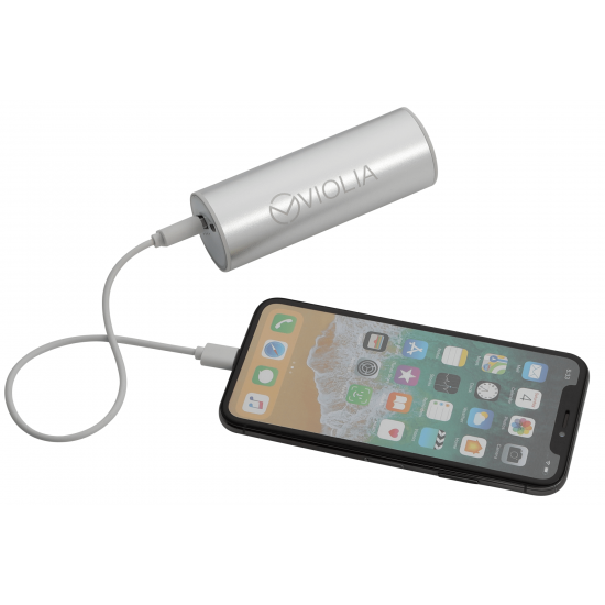 Bliz 6000 mAh Power Bank with 2-in-1 Cable