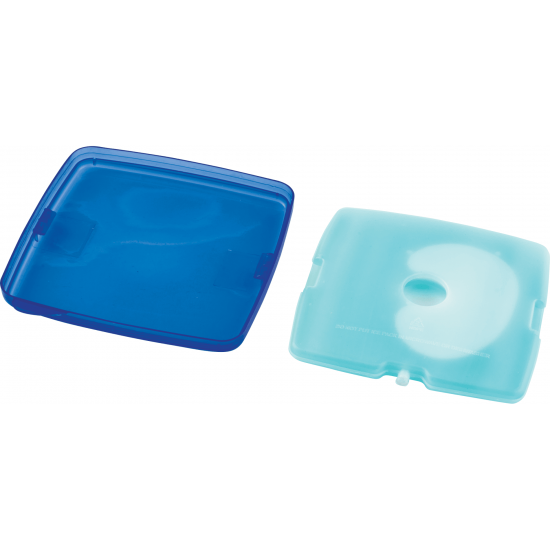 Food Storage with Removable Ice Pack