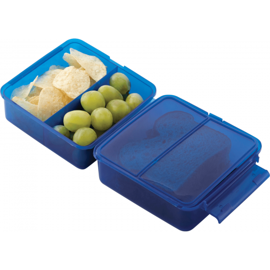 Multi Compartment Lunch Container