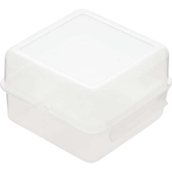 Multi Compartment Lunch Container