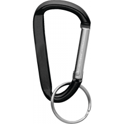 Small Carabiner Key Ring