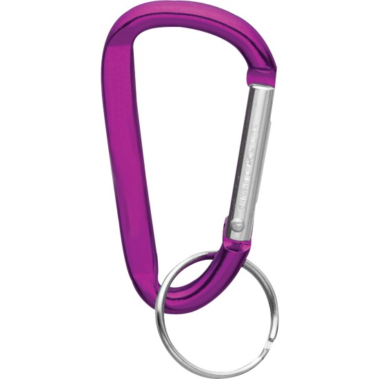 Small Carabiner Key Ring