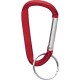 Small Carabiner Key Ring