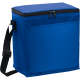 12-Can Lunch Cooler