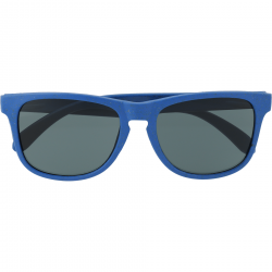 Plastic & Wheat Straw Sunglasses