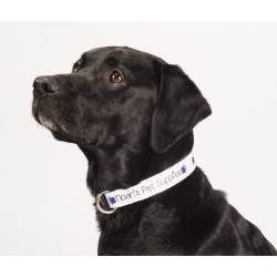 Full Color 1" Wide Adjustable Pet Collar