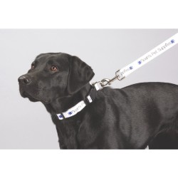 Full Color 1" Wide Premium Pet Leash