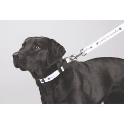 Full Color 1" Wide Premium Pet Leash