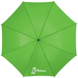 46" Auto Open Value Fashion Umbrella