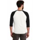 Alternative Eco-Jersey™ Baseball T-Shirt. AA2089