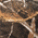 Real Tree/Max5 (Port Authority)