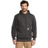 Carhartt ® Rain Defender ® Paxton Heavyweight Hooded Sweatshirt. CT100615