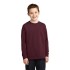 Port & Company® Youth Long Sleeve Core Cotton Tee. PC54YLS