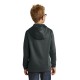 Port & Company®Youth Performance Fleece Pullover Hooded Sweatshirt. PC590YH